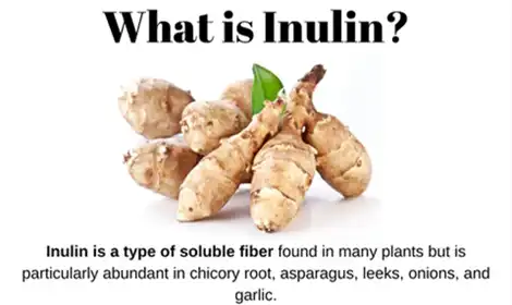 Where Inulin Comes from and Why It's in Processed Foods?